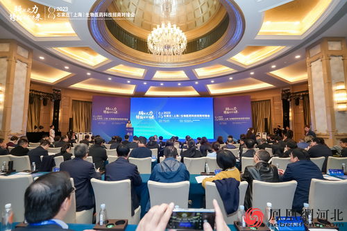 2023石家莊—上海生物醫(yī)藥科技招商對接會 共繪產(chǎn)業(yè)發(fā)展新藍(lán)圖