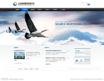 公司網(wǎng)站圖片與計算機(jī)網(wǎng)絡(luò)工程 構(gòu)建高效視覺與數(shù)據(jù)交互平臺